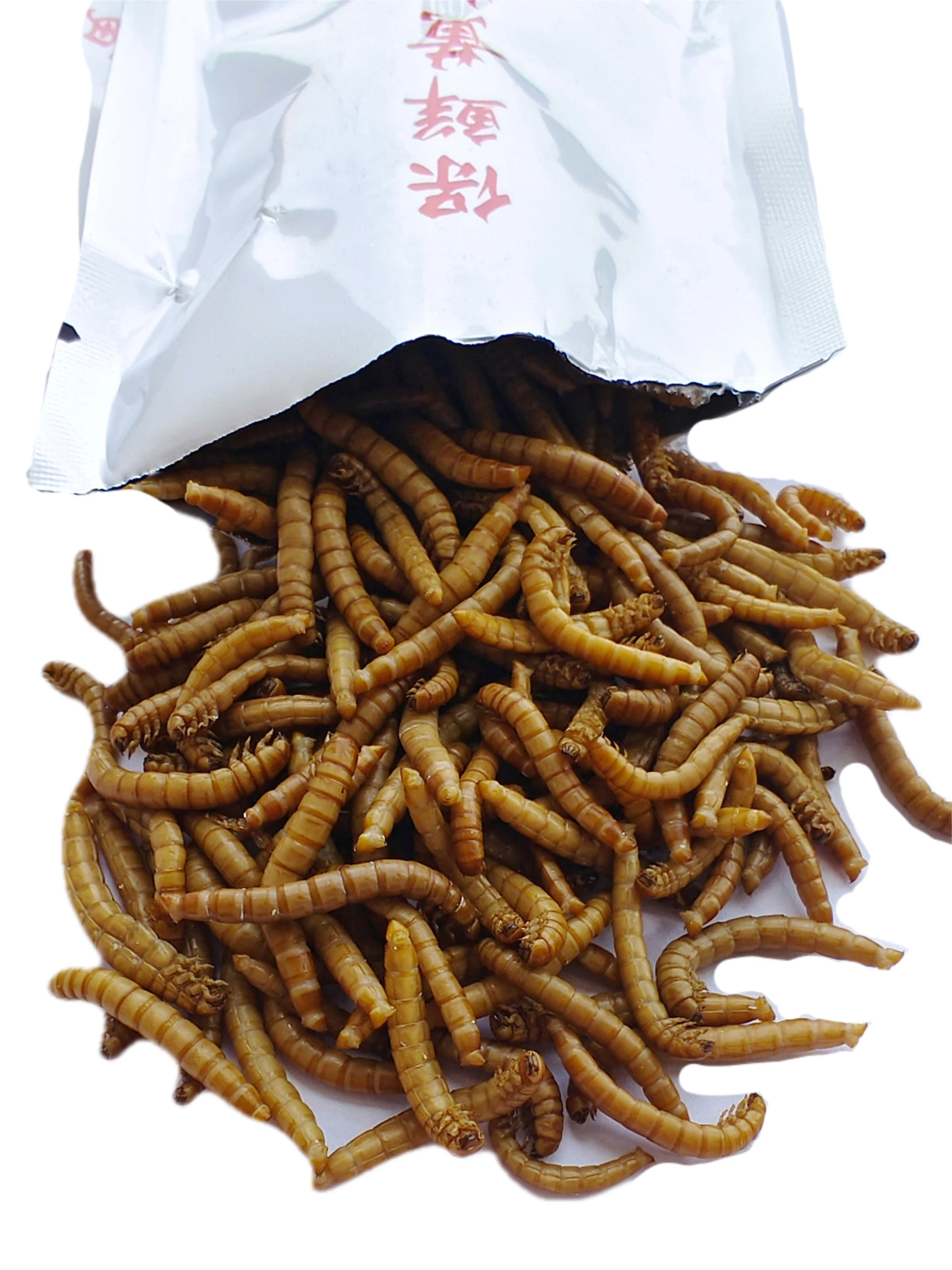 factory price high protein from animal worm fresh mealworm for cattle chicken lizard bird