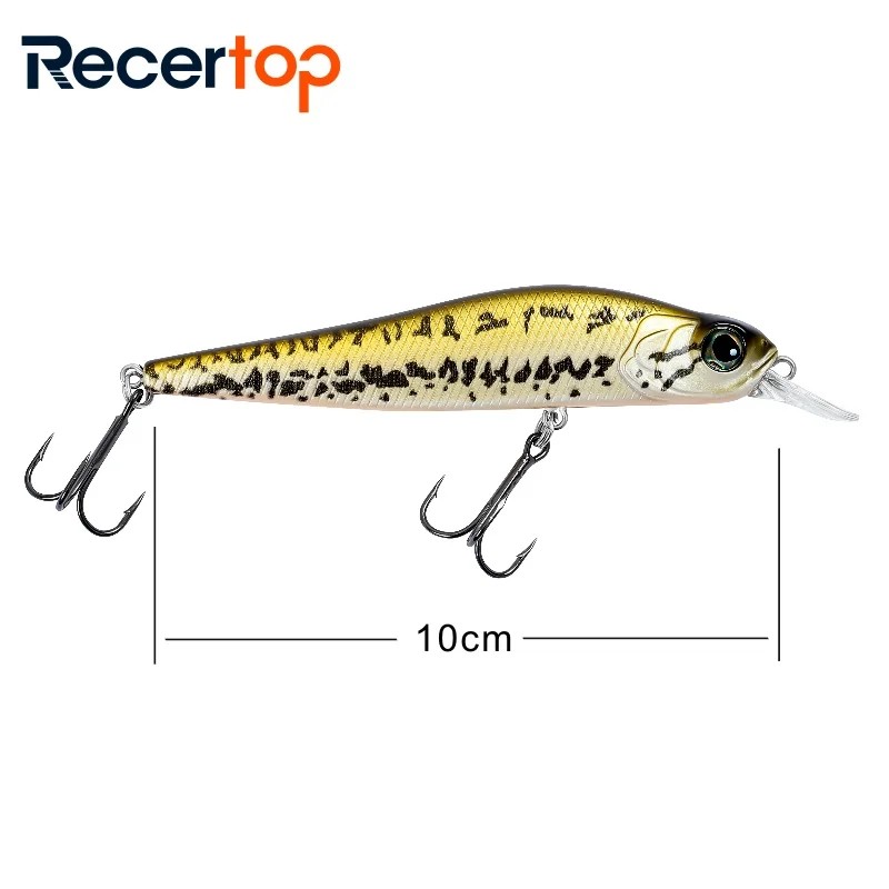 Floating lure natural colors and unpainted minnow 100mm 12g jerkbait ABS minnow lure