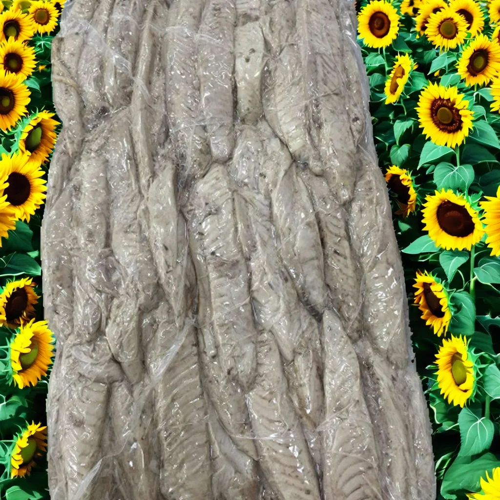 Cost - effective Nutritious Fresh Frozen seafood factory priceTuna Frozen seafood BQF 7.5kg Bonito for sale