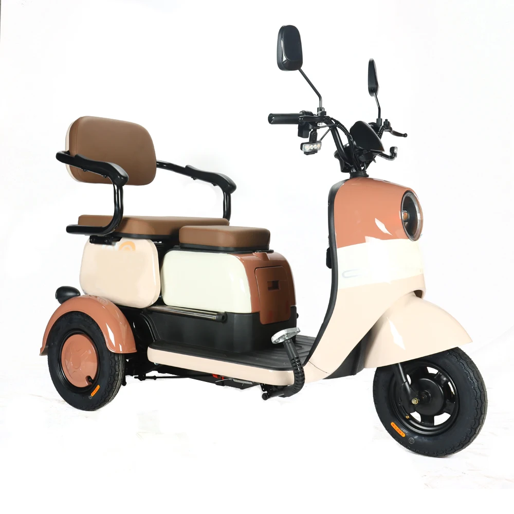 Factory Wholesale Adult Cargo E Tricycle Bike 650W Electric Ebike 3 Wheel Tricycle