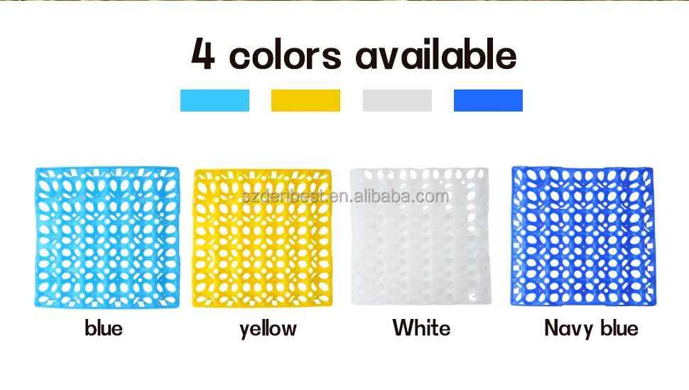 Egg tray-30.jpg