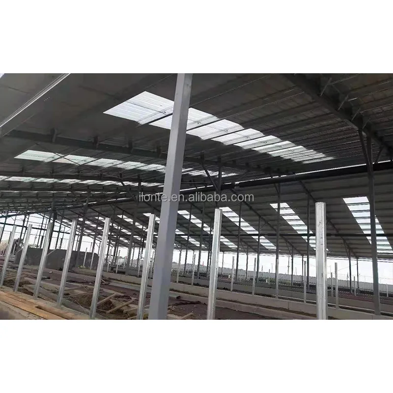 Chicken egg laying hens cage Commercial Poultry Farming Chicken Layer Farming Cage