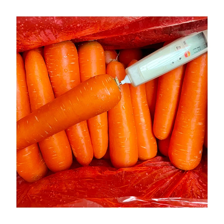 Organic Fresh Carrots From China Packed in Carton Export Wholesale Price High Quality Bulk