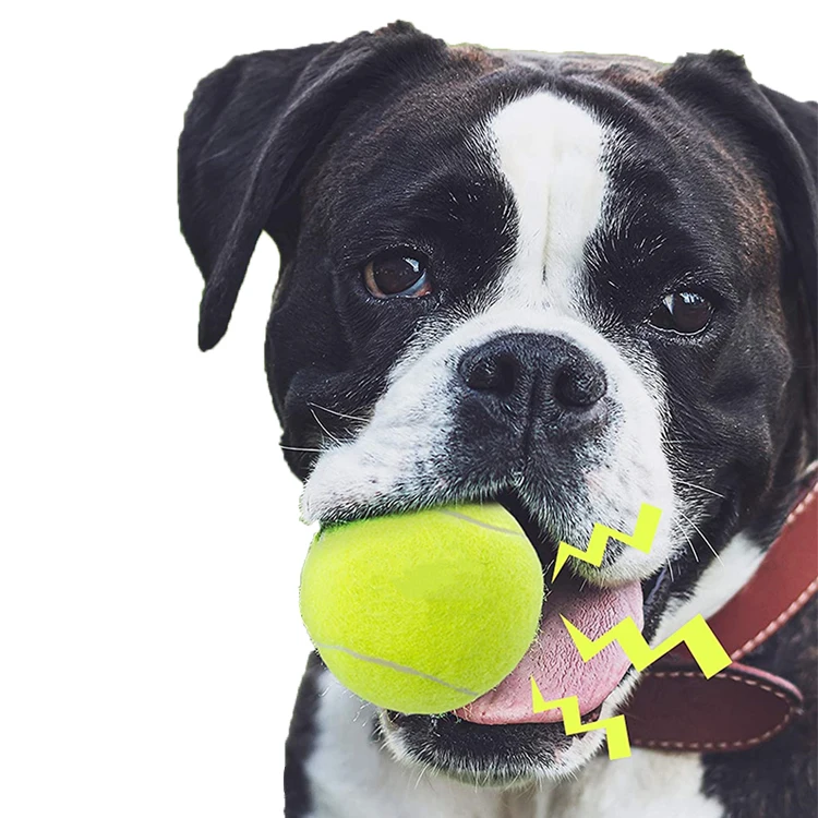 Wholesale Interactive Dog Tennis Ball Toy Bola Cachorro Pelota Perro Juguetes Para Perro