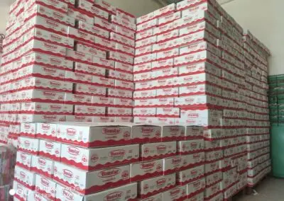 POPULAR FAST DELIVERY BELLILA FACTORY DIRECTLY SALE FRESH TOMATO PASTE BRAND PRODUCED IN EUROPEAN Global export