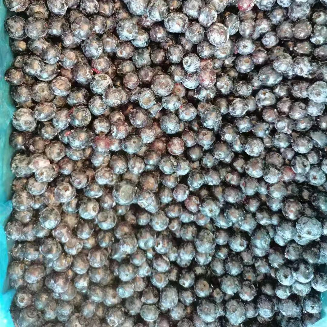FB-2228 Bulk packing Wild Organic frozen blueberries for sale 10kg price A Grade