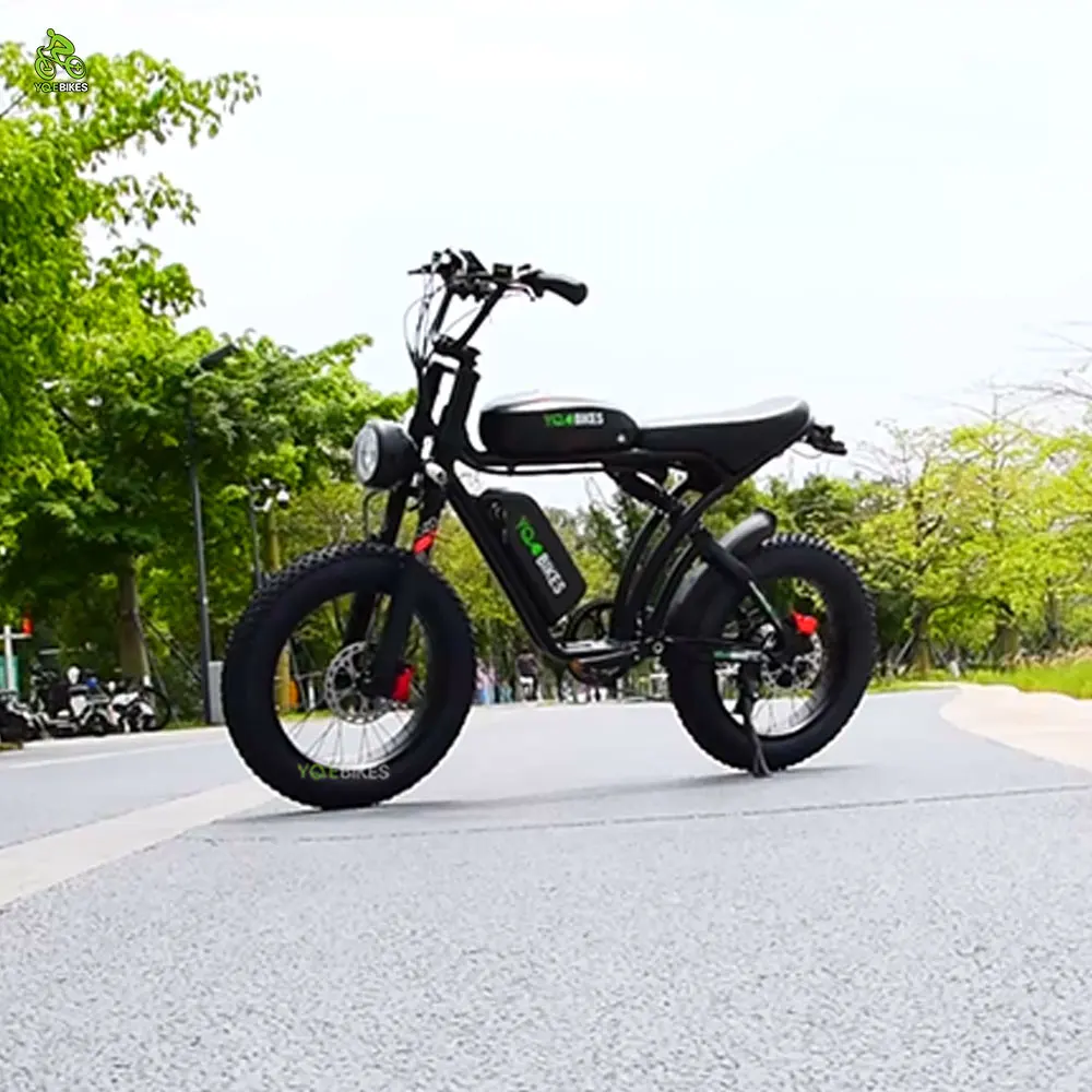 YQEBIKES Dropshipping Factory OEM Single/Dual Motor Ebike 2000W 50Ah Electric Mountain Super Cool Hybrid Bike Electric Bicycle
