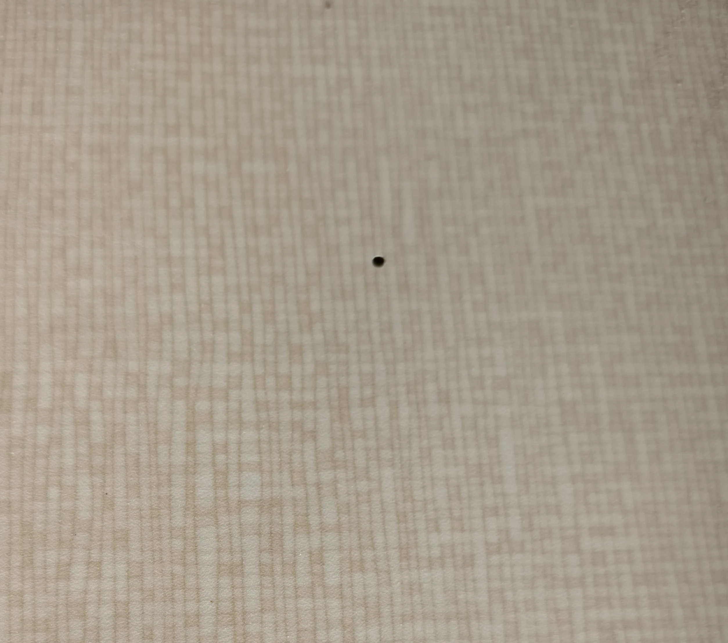 _20241126101514.jpg
