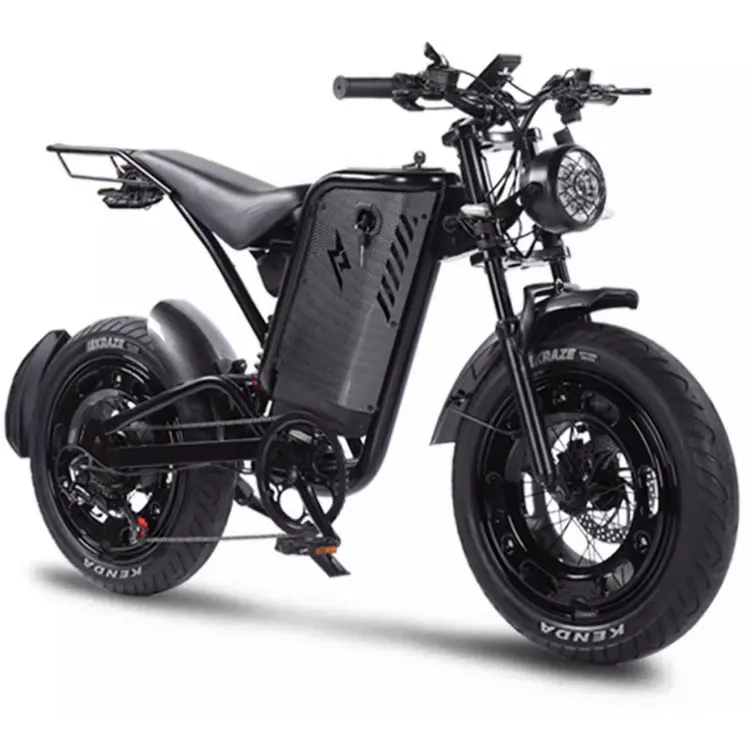 20-Inch Retro Spoke Wheel Electric Bicycle with Wide Off-Road Fat Tire Pedal Assist Steel Frame 48V Voltage Snowy Look