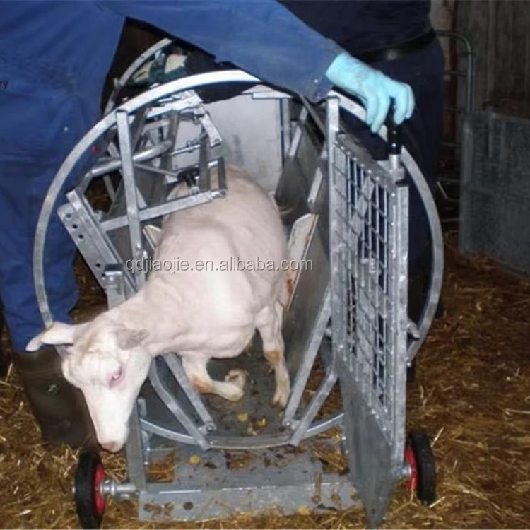 Livestock farming equipment sheep catcher for goat