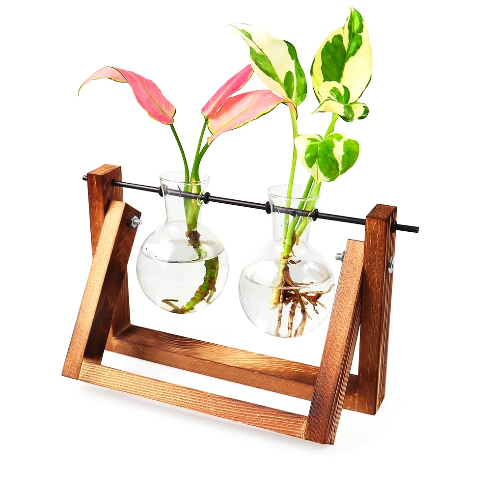 plant terrarium glass reusable wooden frame glass bottle manufacturing plant Modern decoration egg shaped glass plants