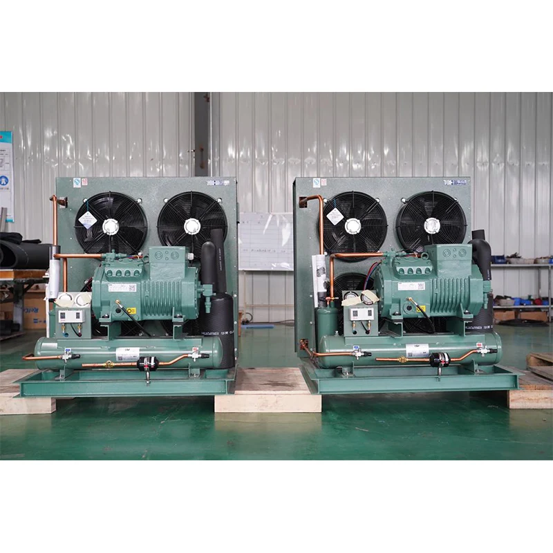 R404A 2P 3P 4P 5P Compressor Air Cooled Condensing Unit for Cold Freezer Room