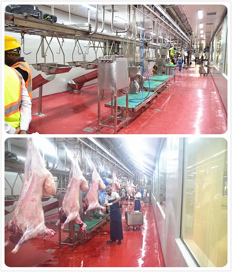 halal_goat_abattoir_with_lamb_slaughter_house_meat_process_butchery_system_equipment