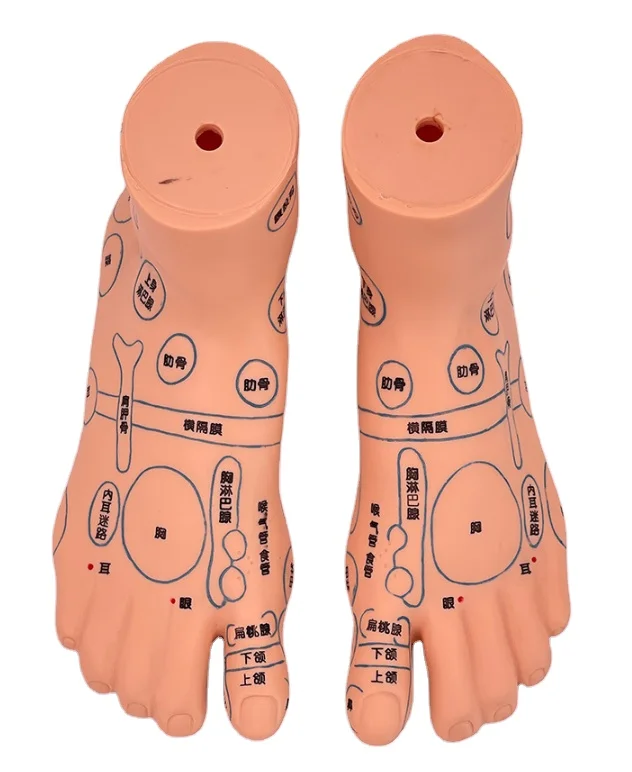 Медицинская обучающая модель ТСМ, акупунктурная модель стопы, картина из ПВХ материала, умный стимулятор, манекен для обучения медсестер в школе медсестер