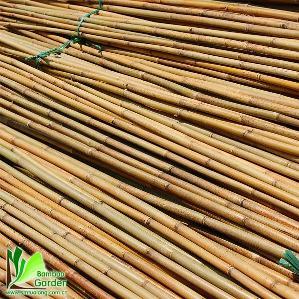 bamboo poles straightening bamboo