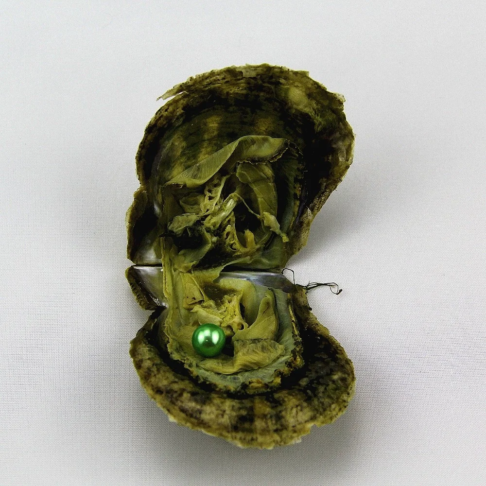 Wholesale 6-8mm colorful AAAA+ grade freshwater round pearl akoya oyster love wish Cultured saltwater oyster in Vacuum-Packed