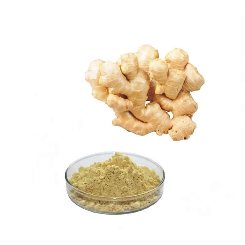 Factory direct supply ginger powder water soluble ginger extract powder 10%