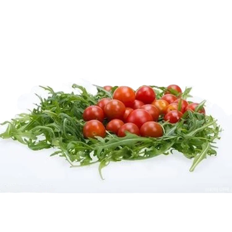
2021 export mature cherry tomato red virgin fruit high yield red cherry tomatoes 