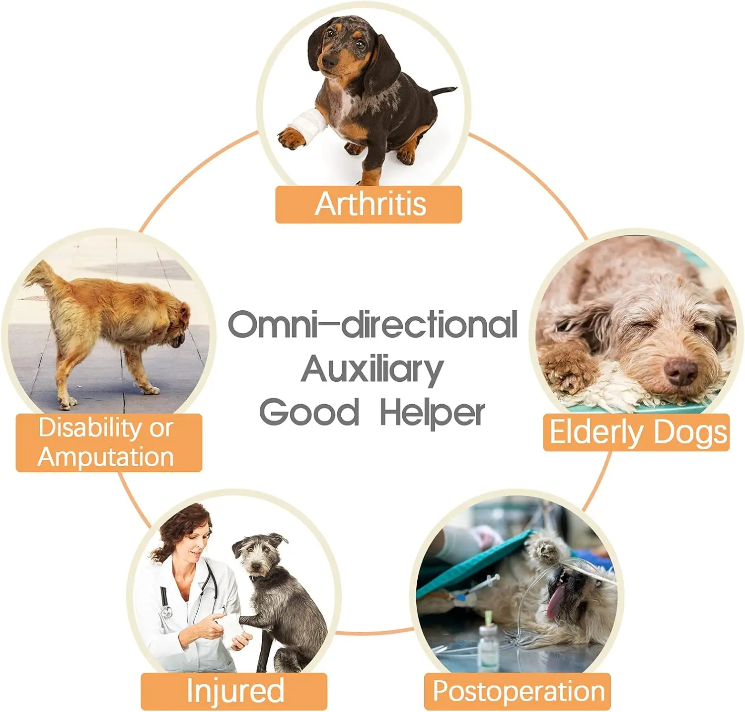 High Quality Comfortable Hind Leg Disability Omni-directional Auxiliary Good Helper Dog Lift Harness