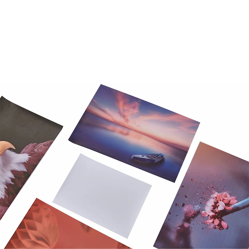 Pvc Self Adhesive Vinyl For Digital Printing,Removable Self Adhesive Vinyl,Pvc Vinyl Roll