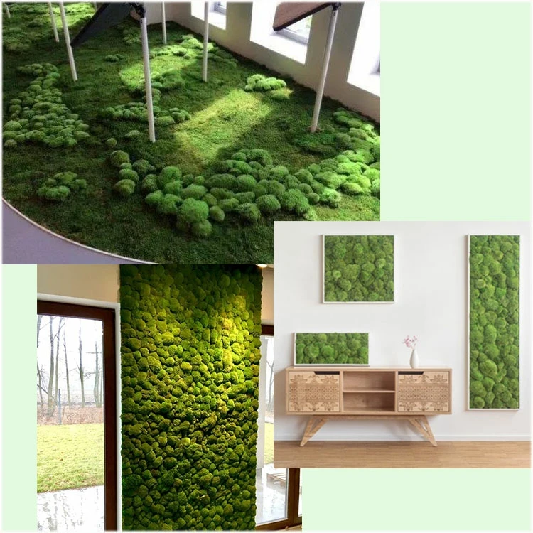 wholesale preserved flowers and plants natural real moss wall art green stabilized reindeer preserved moss wall for decor