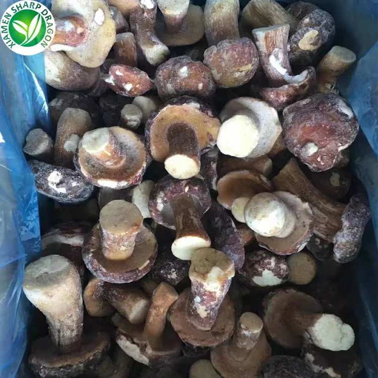  Продажа замороженных грибов boletus edulis