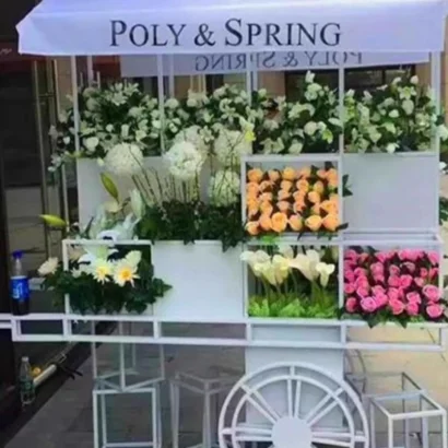 Design Outdoor Market Street Sale Metal Folding Fruit Vending Trolley Stall Exhibition Stall ice cream stand sun canopy options