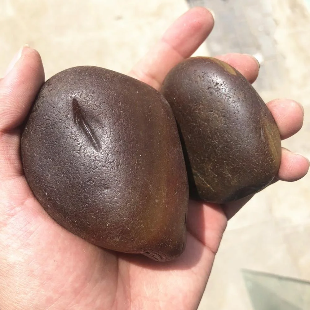 Wholesale Natural Rough Agate Stone Price Raw Agate for sale