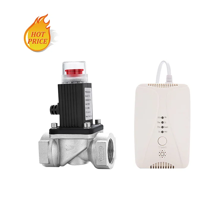 Electrovalve Solenoid Valve Alarm Valve for Smart Fire Alarm Security System