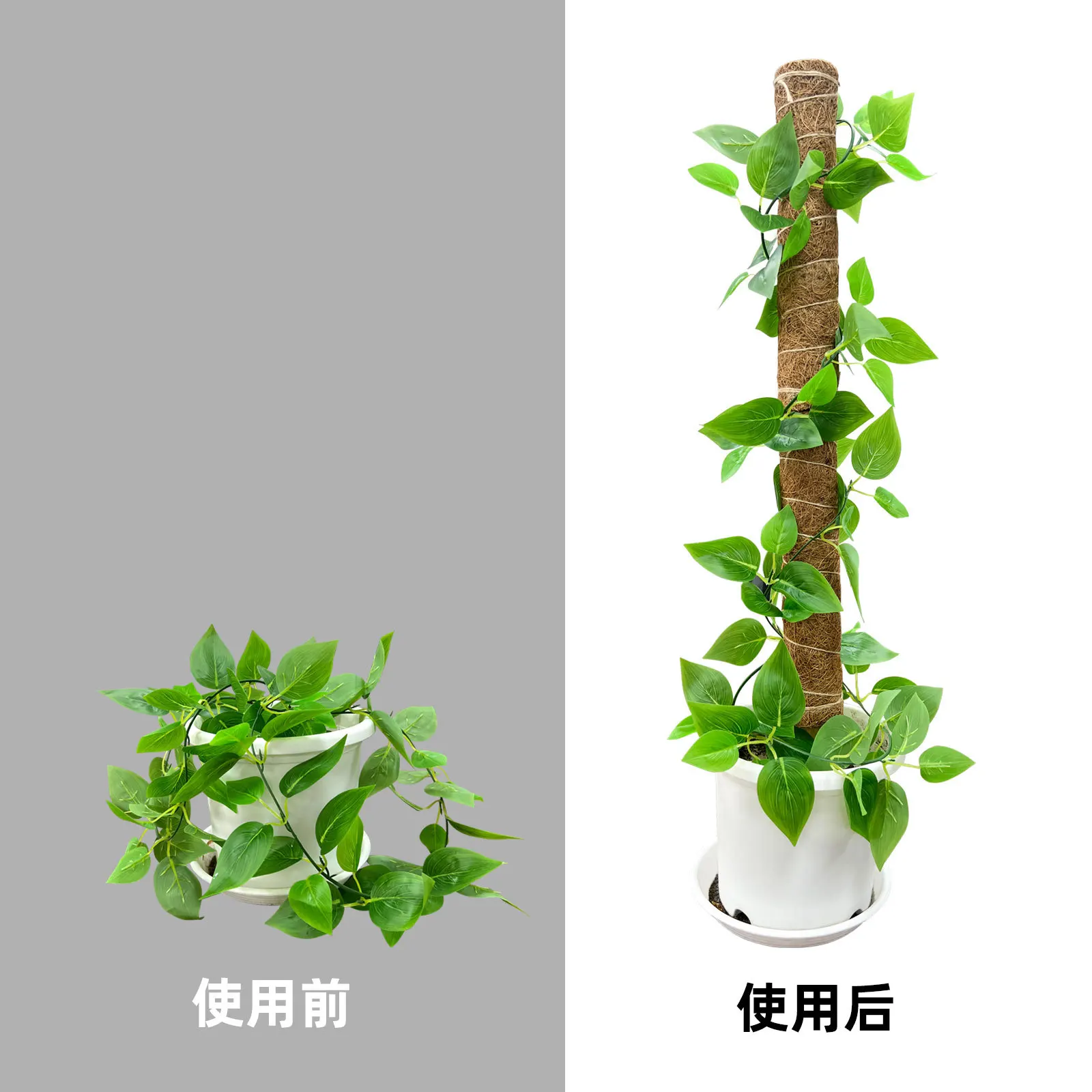 Hot Selling Self Watering Moss Pole Coir Totem Pole Plant Support Coco Coir Poles for Creeper