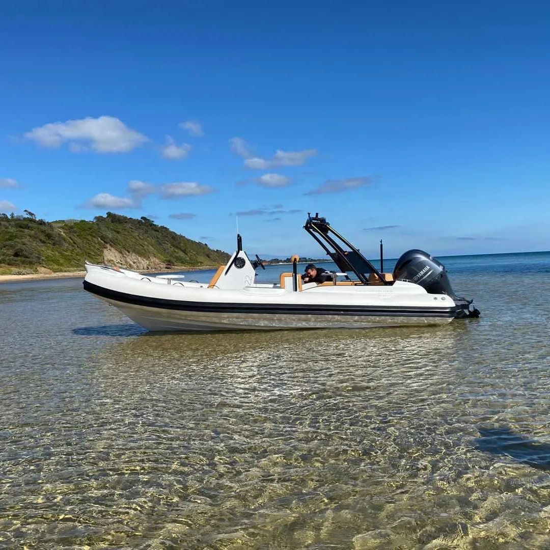 
Liya 22feet hypalon rigid inflatable boat rib fihing boats for sale 