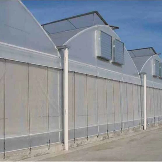 Легкая сборка, листовая теплица из поликарбоната, низкая цена, сельскохозяйственная теплица