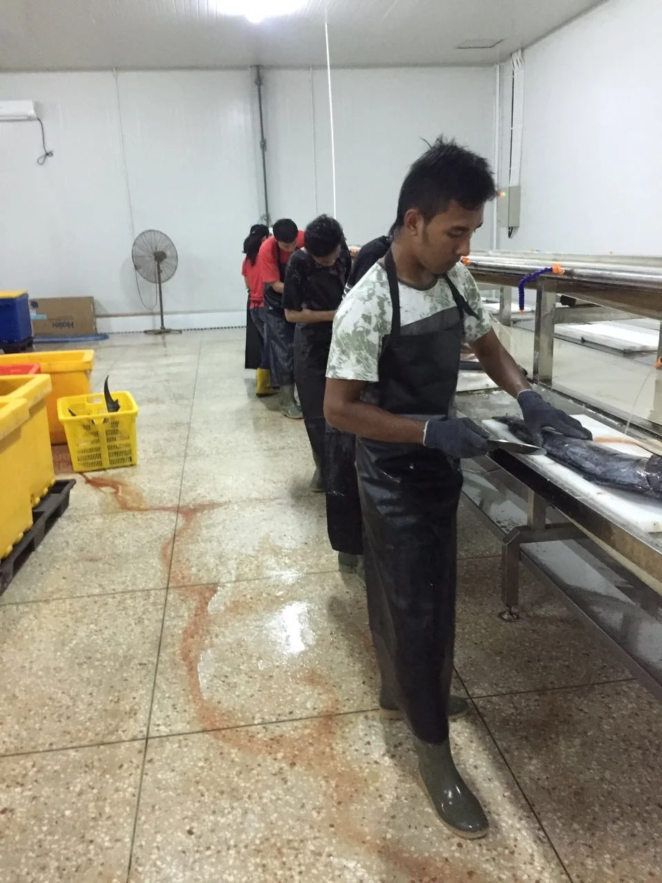 Good Sale Seafood Fish Frozen Golden Pomfret