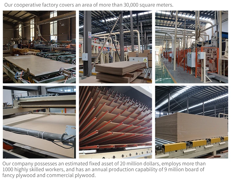 mdf_08