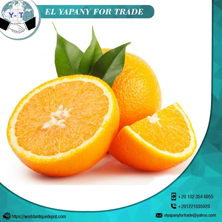 
Fresh Citrus Orange Fruit 