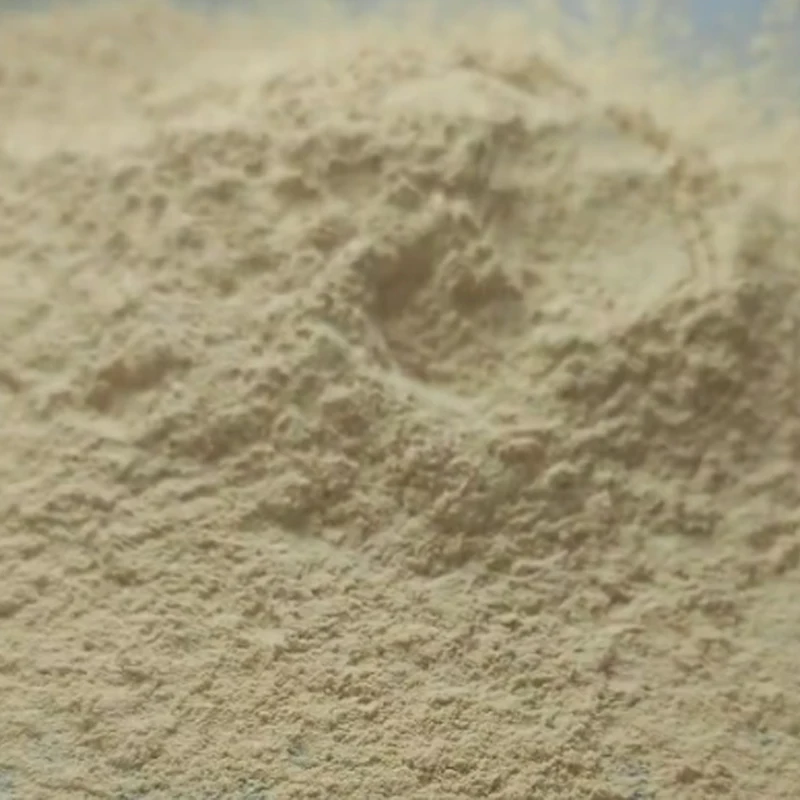 Protein Powder breakfast cereals Nutritional supplements High Nutrition yeast beta glucan powder