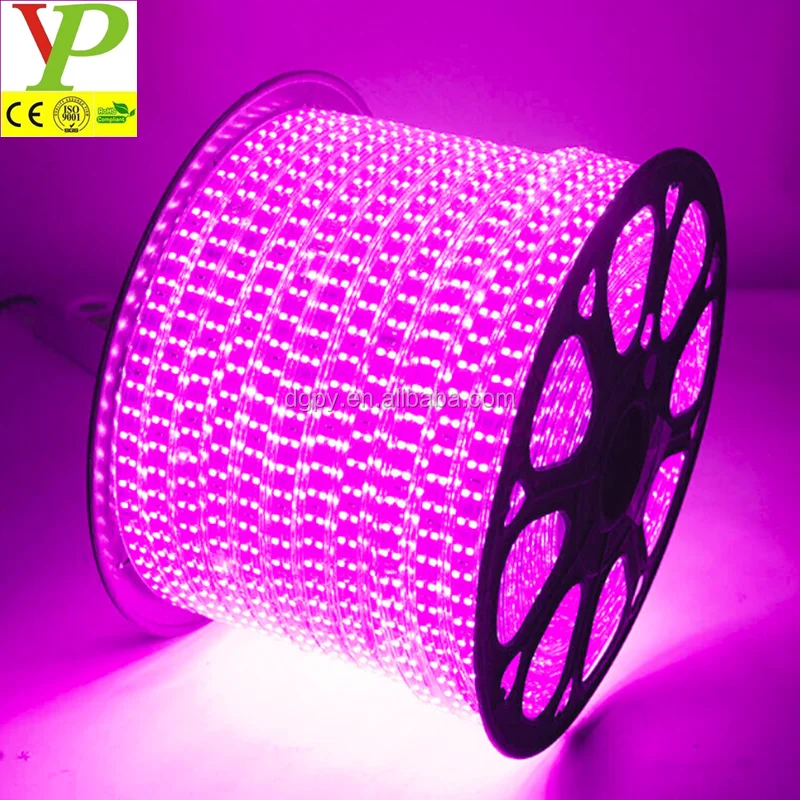 Remote 24V DC Outdoor Waterproof RGB white red green blue yellow purple pink full color smd 5050 led neon strips