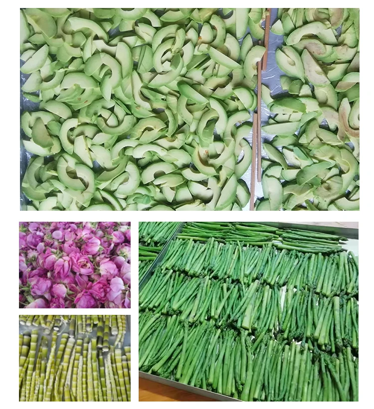 Mango tomato drying machine dry fruit meat dryer freeze drying machine