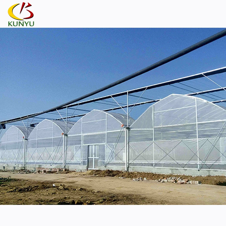 Gothic style Plastic film vegetable polytunnel greenhouse for sale