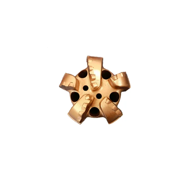 Oil well PDC drill bit for drilling and gas