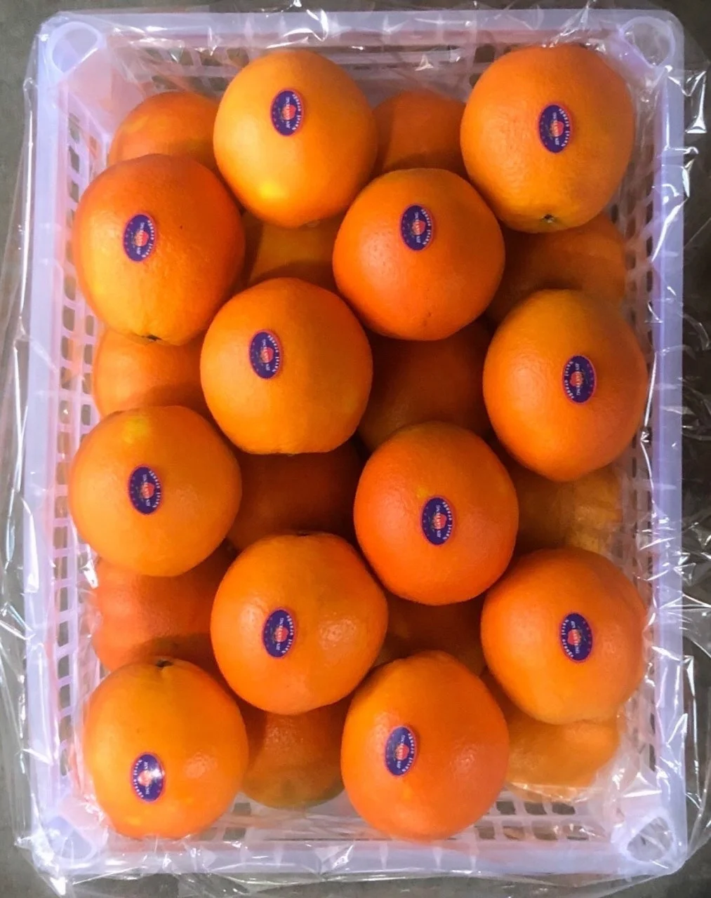 2020 NEW CROP FRESH AND HIGH QUALITY GOOD TASTY NEVEL ORANGE