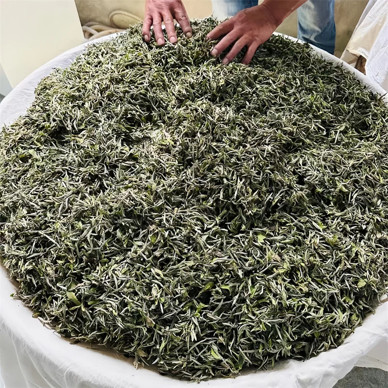 Hot sale Bai Mu Dan healthy high quality white tea white peony /bai mu dan white tea leaves