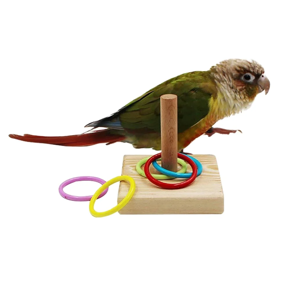 Training Basketball Stacking Color Ring Parrot Chew Ball Foraing Activity Cage Foot Bird Trick Tabletop Toy