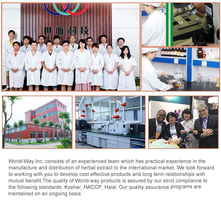 World-Way Biotech