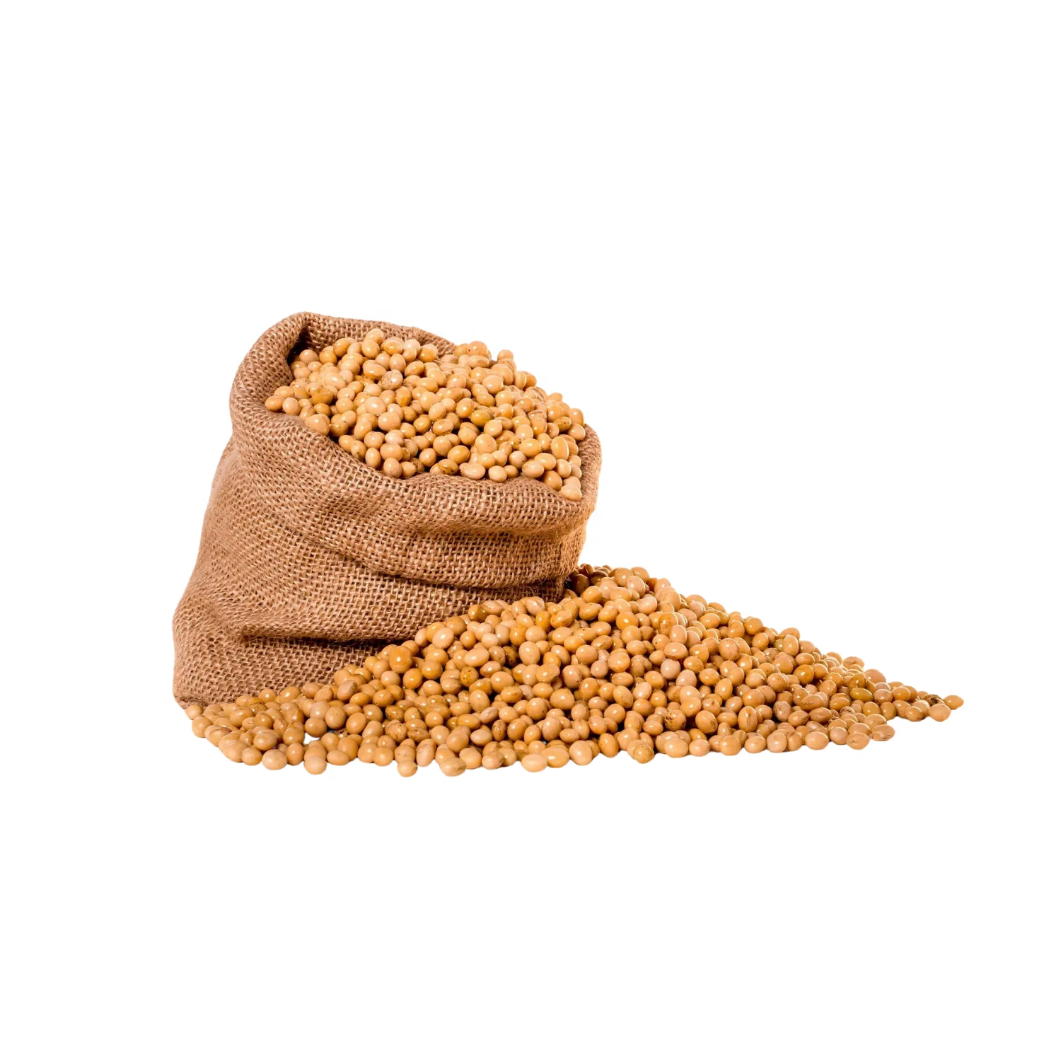 
 Органические соевые бобы 500MT без ГМО для сельскохозяйственной продукции  