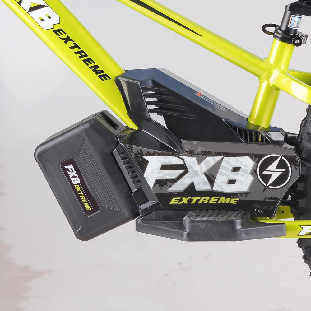 20inch Kids&Adult Electric Balance Bike 36V 800W Hub Motor Ebike 36V 10Ah Lithium Battery Electric Push bike