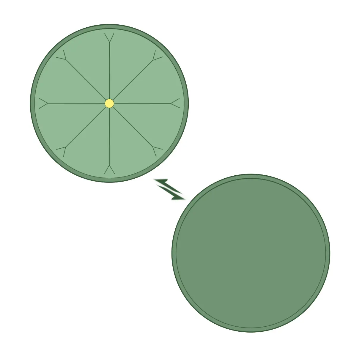 Cushion Cover Making Sublimation Digital Print Decoration Anime Body Pillow Donkey Plush Pillowcase Microfiber Pillowcase