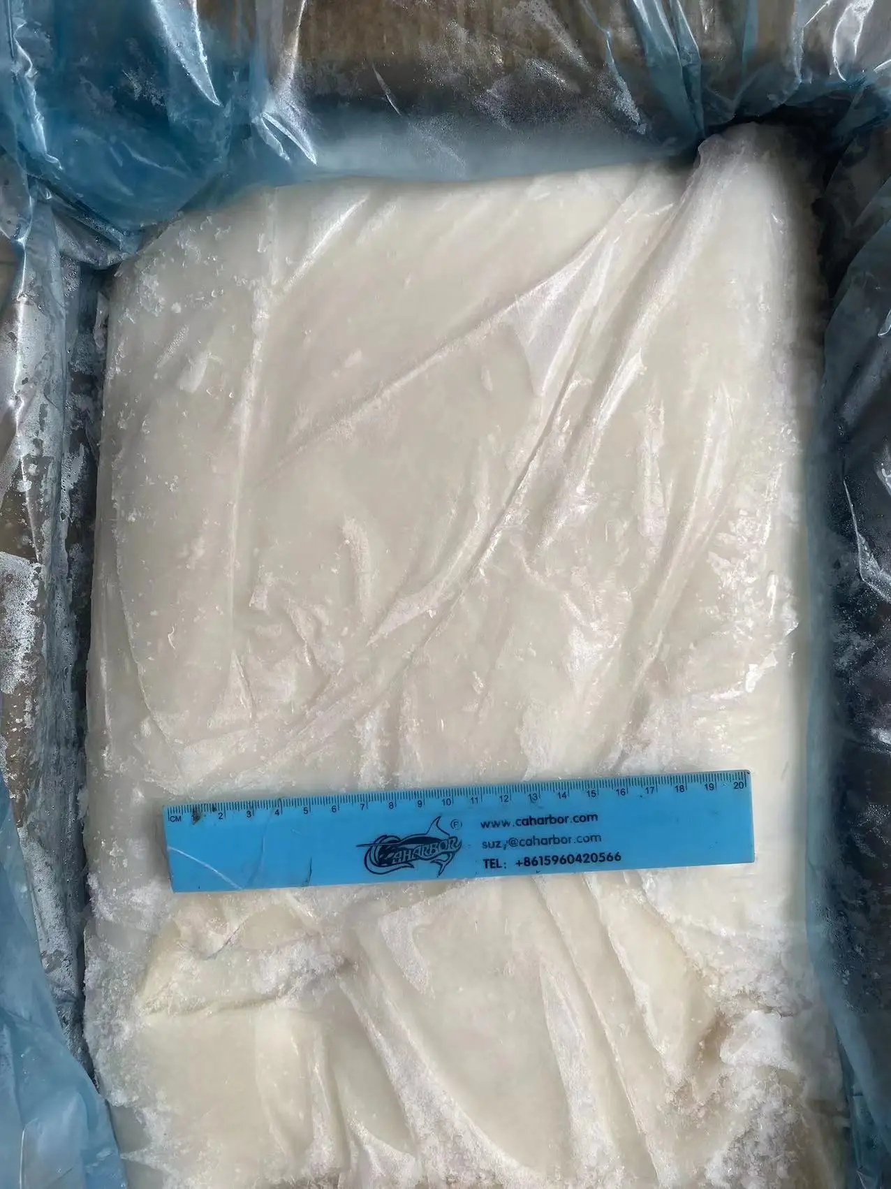 new process skinless high quality hot sale frozen giant squid fillet