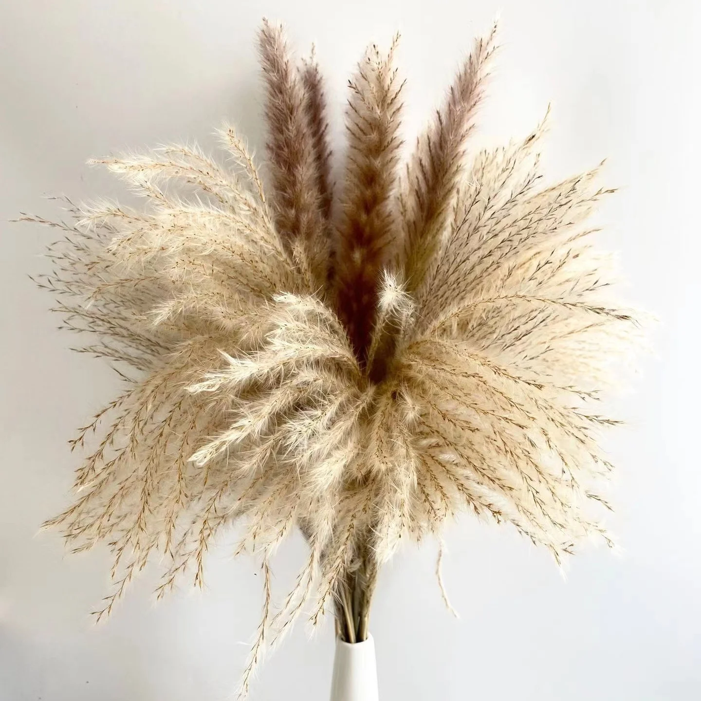 Dried Flowers and Plants dried decorative pampas grass baby breath flower artificial