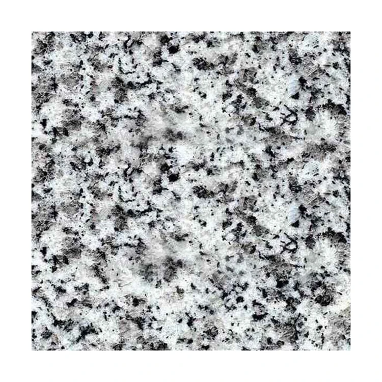 China Stone Slab Tile G603 Sesame White Granite